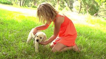 Mädchen streichelt kleinen Hund in Zeitlupe video