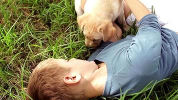 jongen met labrador puppy in de tuin video