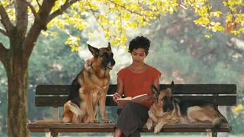 People, pets, dog sitter with german shepherd dogs in park