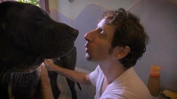 Cámara lenta de un hombre hablando con su perro gran danés mientras la baña video