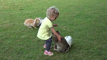 Curious girl with curly hairs have fun between rabbits bunnies in zoo garden