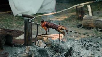 hd: coelho inteiro assando na churrasqueira no acampamento