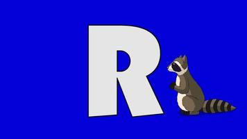 letra r y mapache (primer plano)