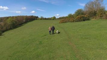 foto aérea de casal maduro e cachorro em caminhada no campo