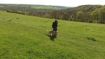 Vue aérienne de couple d'âge mûr et chien en promenade dans la campagne video
