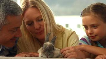 famiglia felice con coniglio da compagnia video