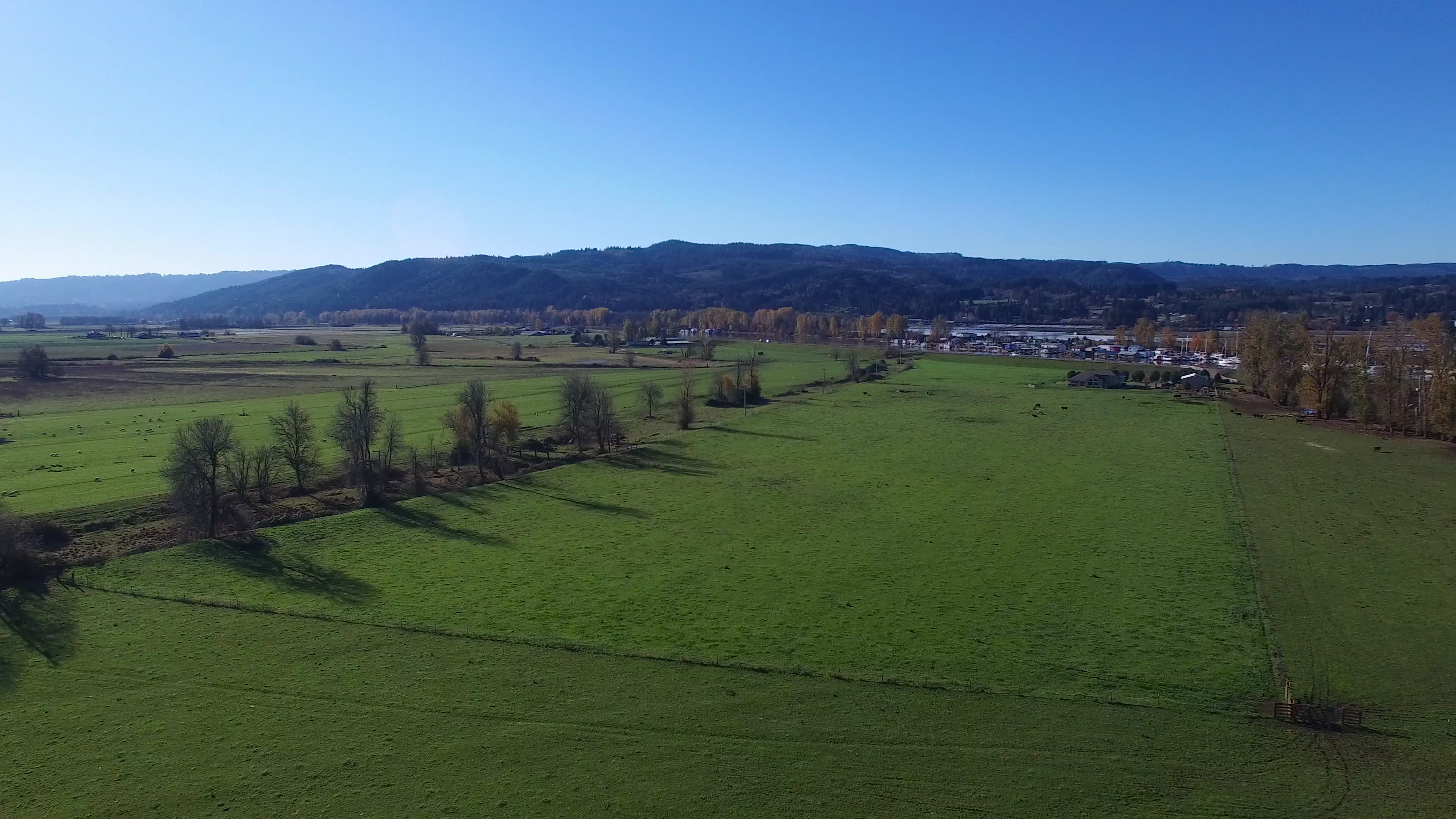 Aerial Oregon Sauvie Island 1278575 Stock Video at Vecteezy