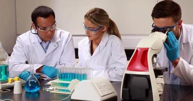 jóvenes científicos trabajando juntos en el laboratorio. video