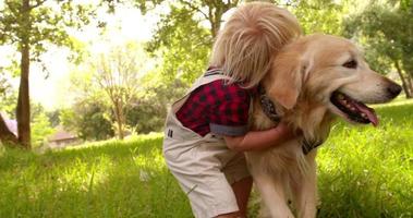Happy child pets a labrador retriever dog at park video