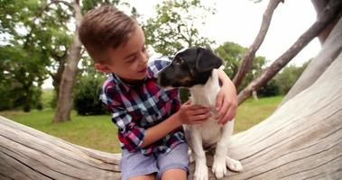 Child and pet puppy sitting on log in nature video