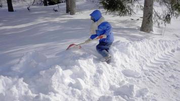 Winter in Ontario 4k Video