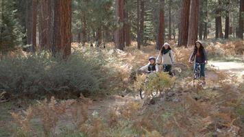 Lesbenpaar Radfahren in einem Wald mit ihrer Tochter