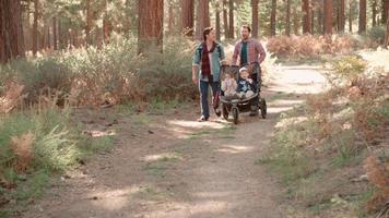 genitori maschi che spingono passeggino con due bambini attraverso una foresta