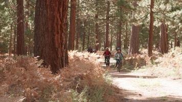 Grandparents cycling with grandchildren in a forest