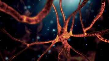 neurone cerebrale video