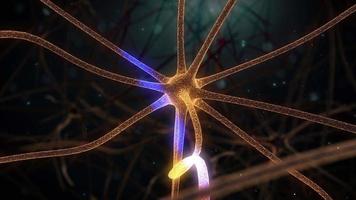 rete di neuroni cerebrali - zoom indietro neurone - lento