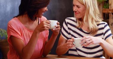 Freunde, die Kaffee trinken und Smartphone betrachten video