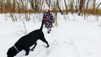 liten flicka som leker med sin svarta labrador på snö