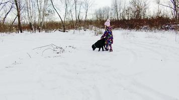 menina brincando com seu labrador preto na neve video