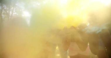 Multiethnische Gruppe feiert Holi Festival im Park video