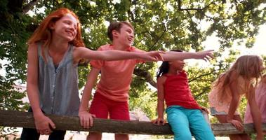 Children playing on a rustic wooden fence in a park video