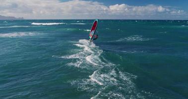 Flygfoto över vindsurfing video