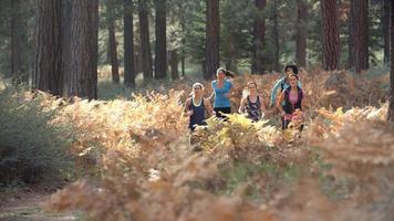 gruppo di cinque giovani donne adulte che corrono in una foresta