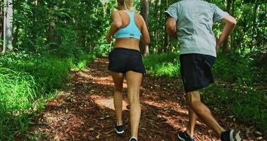 jogga i skogen