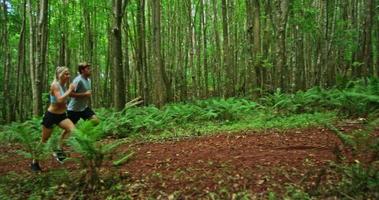 fare jogging nella foresta video