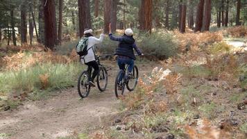 Lesbian couple on bikes high five in a forest, back view video