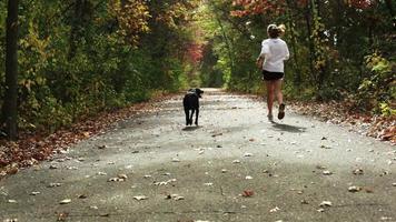 fille jogging avec chien. video