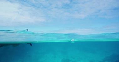 snorkeling sulla barriera corallina tropicale