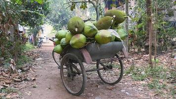 rimorchio per bici carico di mazzi di noci di cocco e frutti di jack