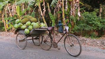 Bike trailer loaded with bunches of coconuts and jack fruits