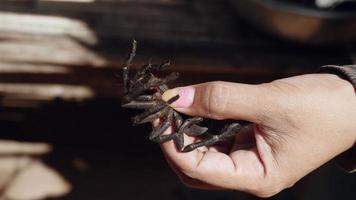 tarantula wordt gedood voor het koken