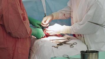 Los cirujanos cosen el estómago de la mujer con aguja e hilo después de la cesárea