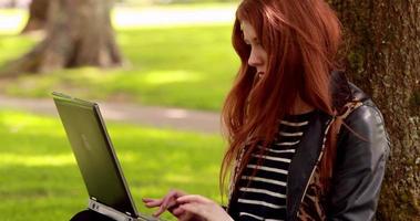 bonita pelirroja usando laptop en el parque