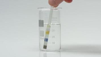 tremper la bandelette de test dans un échantillon d'eau