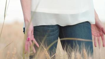 Frauenhand läuft durch Weizen video