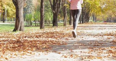 kvinna kör park ung aktiv kondition kvinnlig löpare som tränar utomhus sport flicka jogging höstgula lövträd