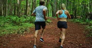 faire du jogging dans la forêt