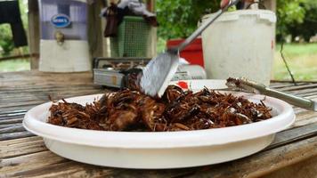 Pile of deep fried grasshoppers on a bowl video