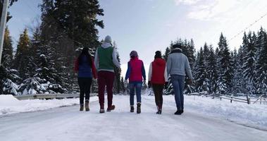 grupo de personas, invierno, bosque nevado, caminar, sonriente, amigos, hablar, en, parque nevado video