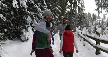 Group Of People Winter Snow Forest Walking Smiling Friends Talking Path In Snowy Park video