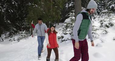 Group Of People Winter Snow Forest Walking Smiling Friends Talking Path In Snowy Park video