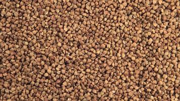 Buckwheat groats (Rotation)