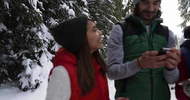 Group Of People Winter Snow Forest Walking Smiling Friends Taking Selfie Photo In Snowy Park video