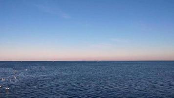 4k gaivotas voando sobre o mar negro, peru video