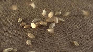 semi di zucca che cadono su un mucchio di semi di zucca.