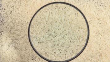 witte rijst en een vergrootglas video